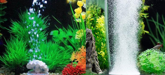 bulleur aquarium