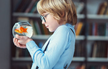 Etude de la dureté de l'eau d'un aquarium