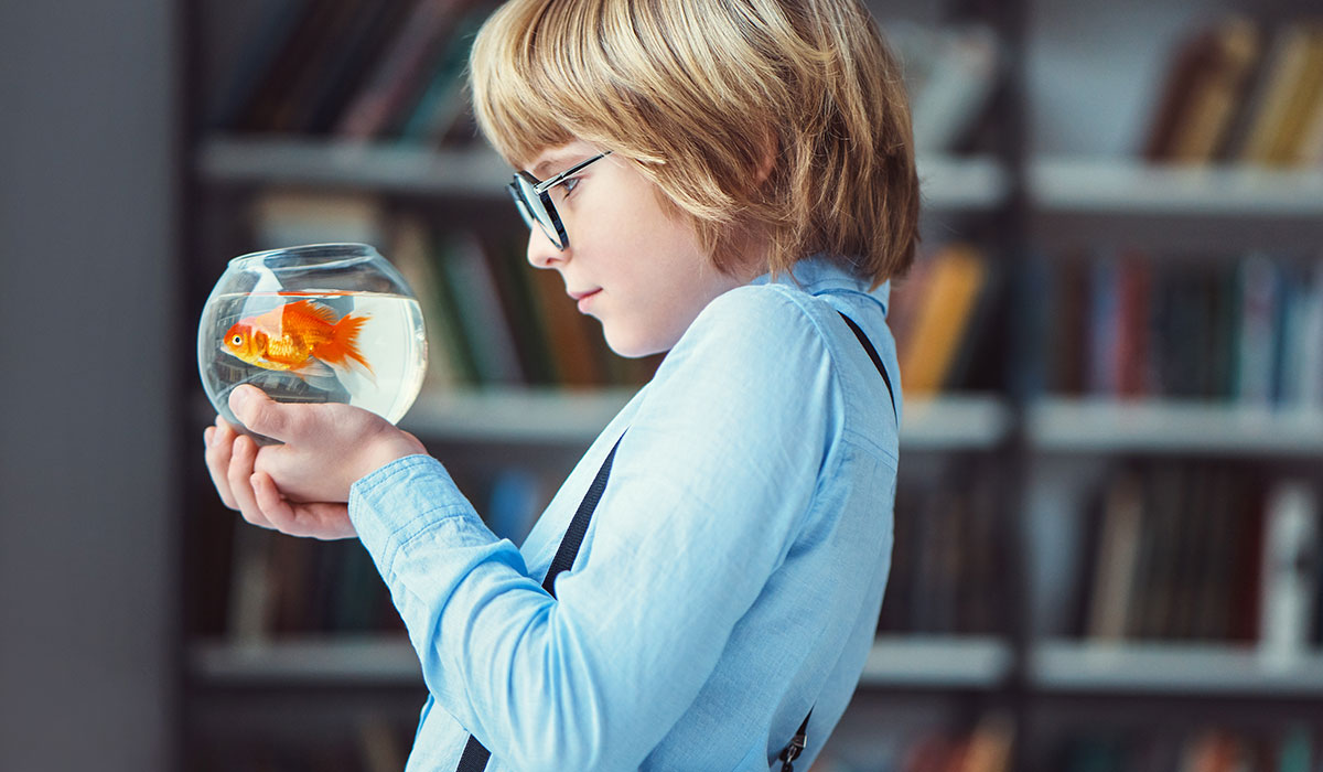 Etude de la dureté de l'eau d'un aquarium